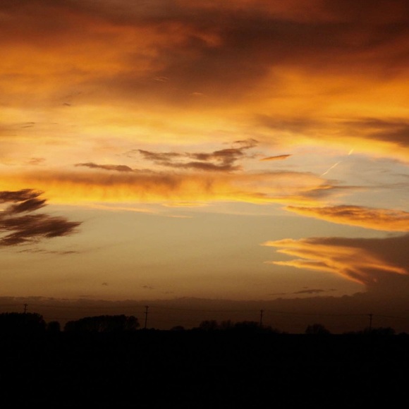 Meet your Posher, Riley - Picture 3 of 5